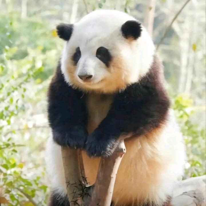 天天晚上练爬墙