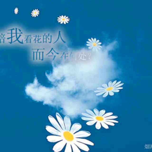 蓝天＆白云