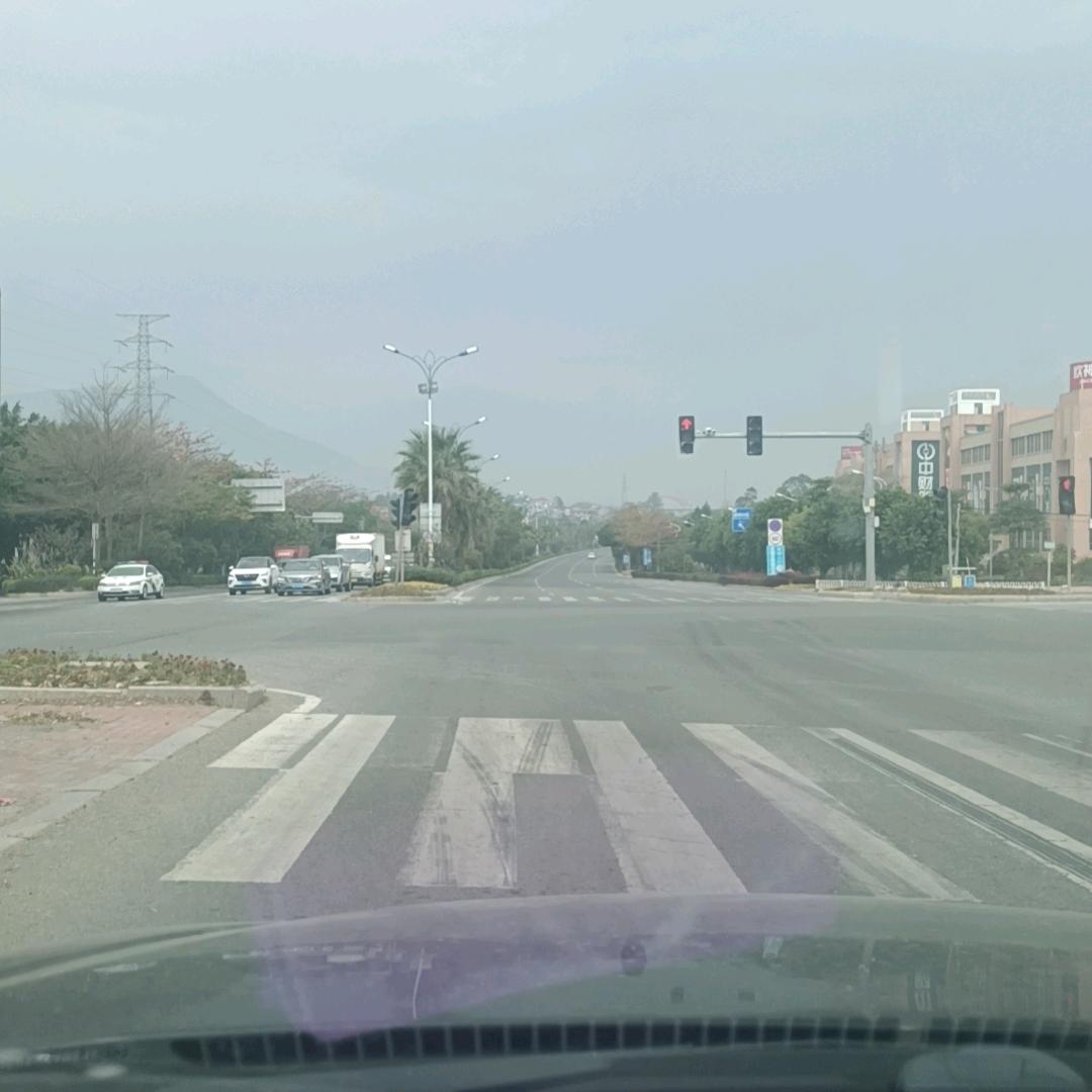 小黄鱼