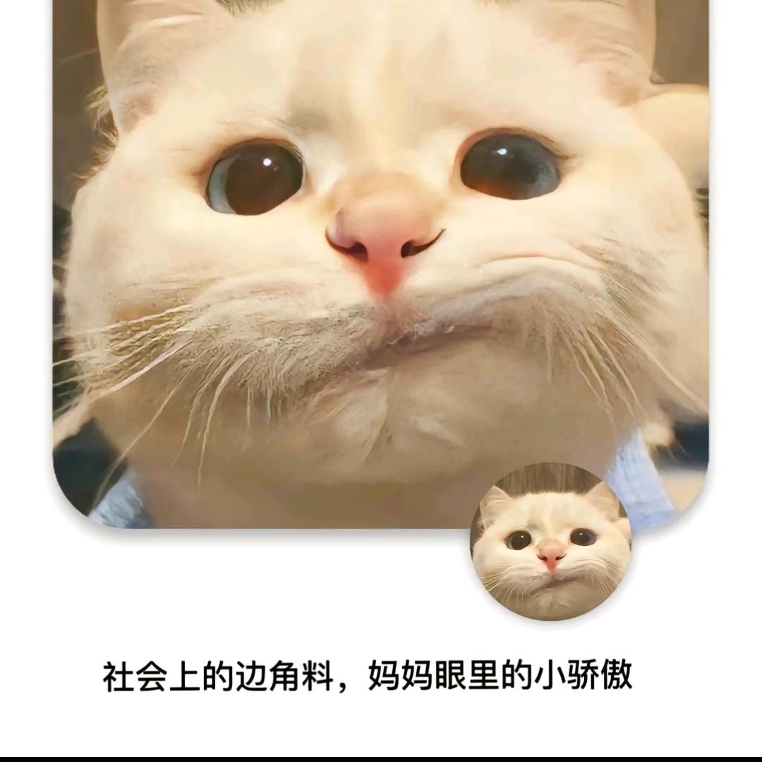 嘎嘎