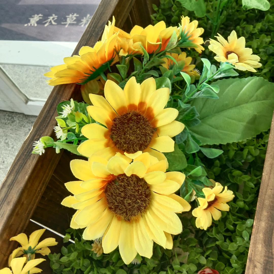 听人间故事品百味人生