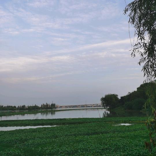 心灵橱窗