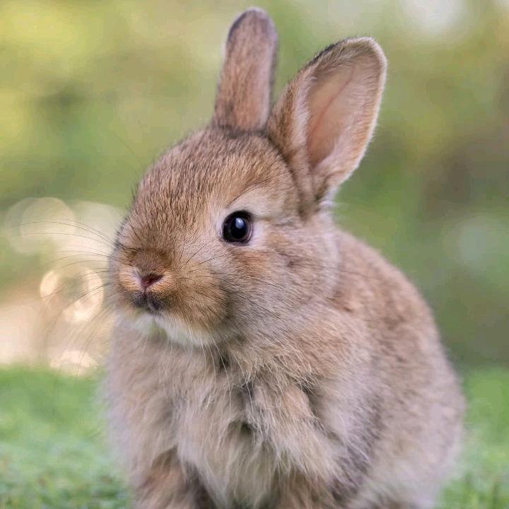 小丽姐姐( ﹡ˆoˆ﹡ )