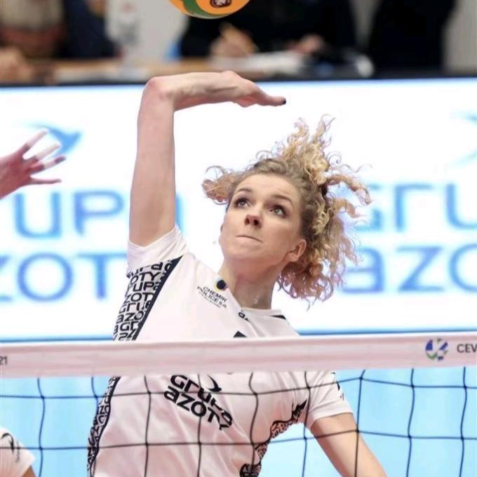 秩序排球🏐