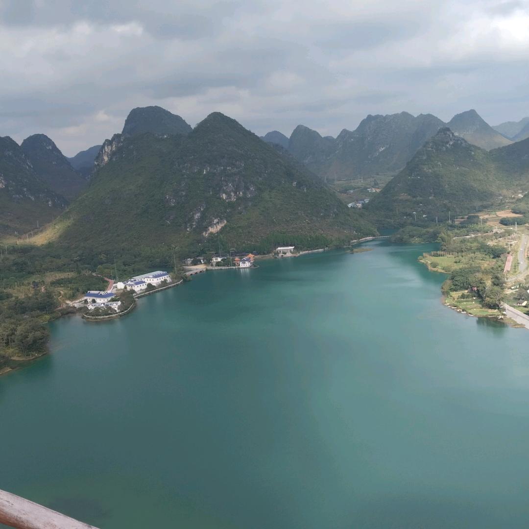 企鹅宝贝世邦店 邓香