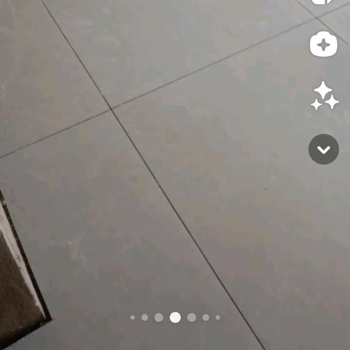 会飞的鱼