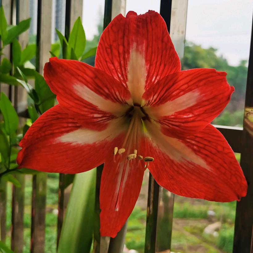 我来啦，你在哪