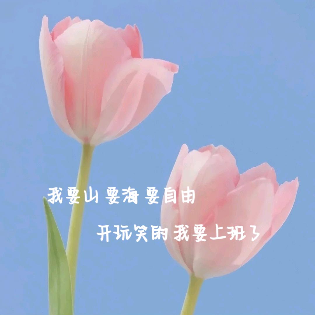 独一无二的彭女士