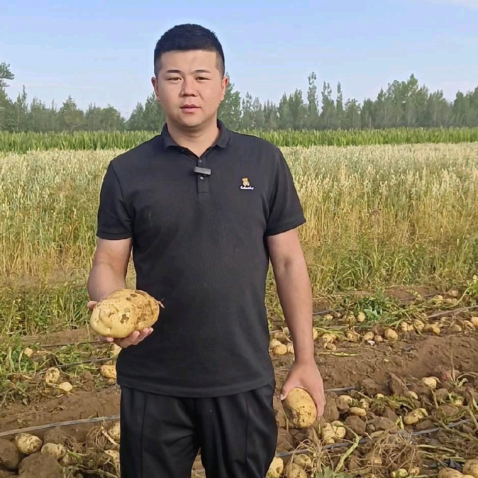 🥔杨婴仿
