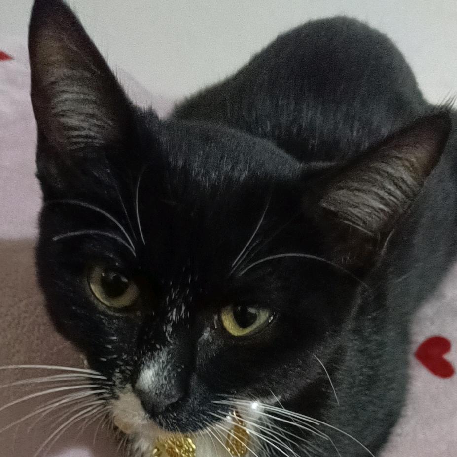 ꧁꫞遗☬憾꫞꧂