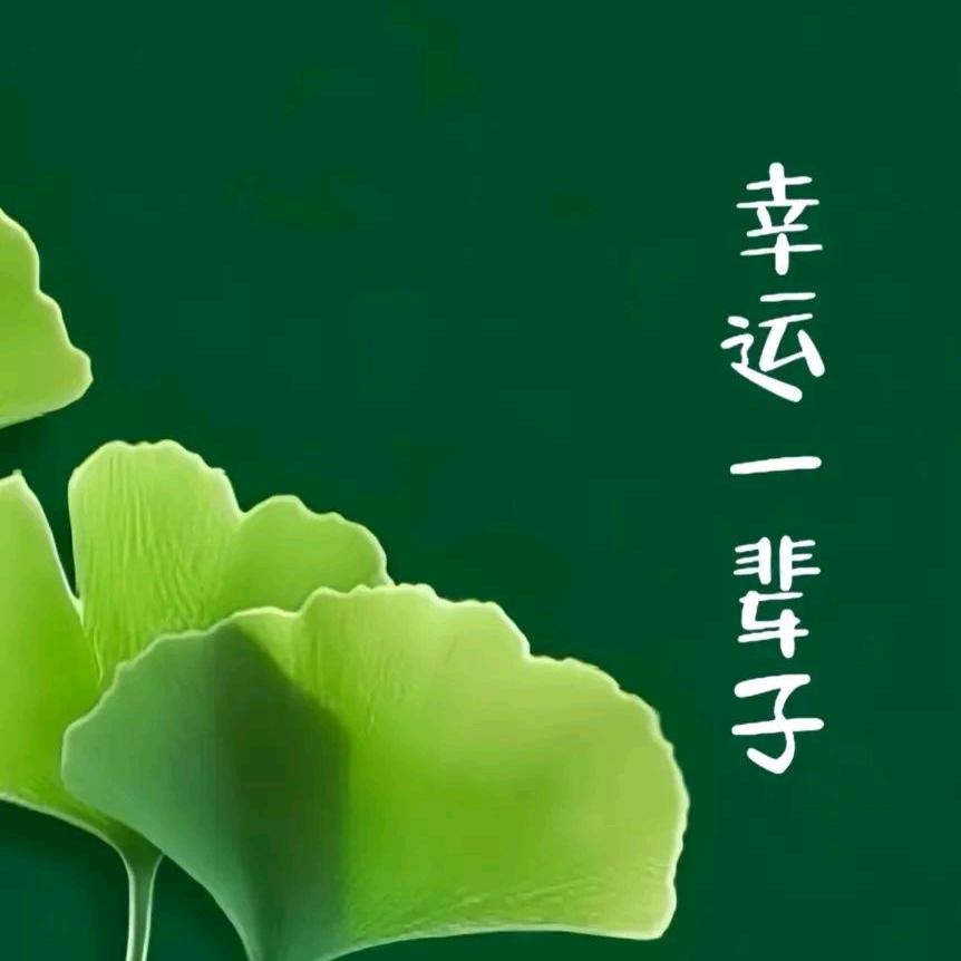 好运·情感音乐