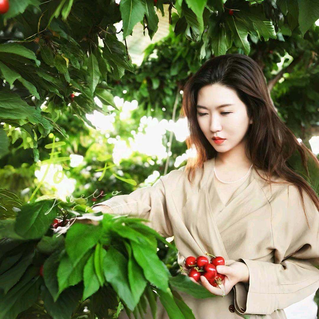 苹果🍒姐姐