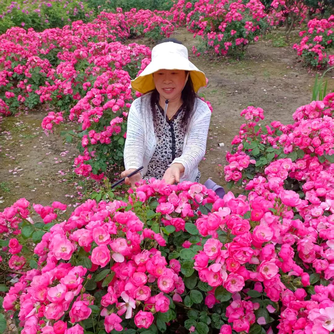 明天更美好