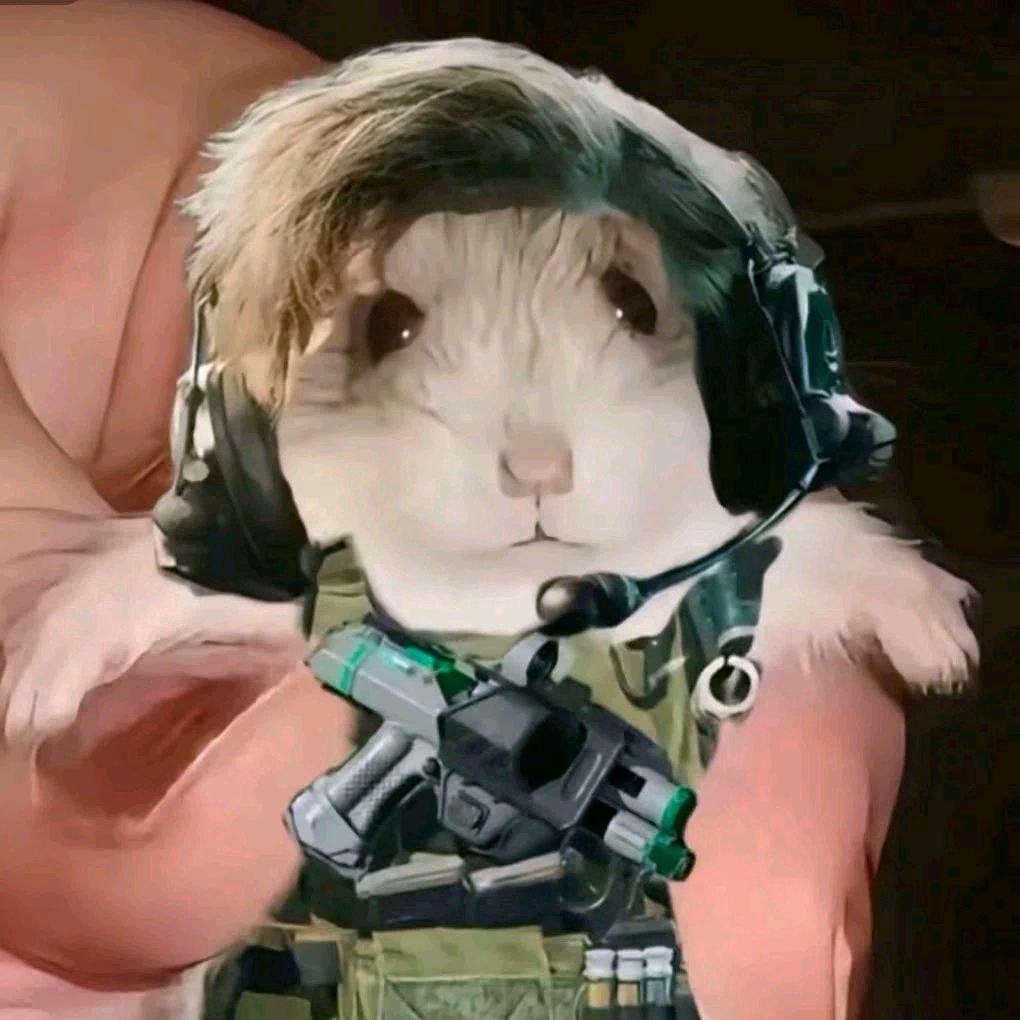 迷鶄