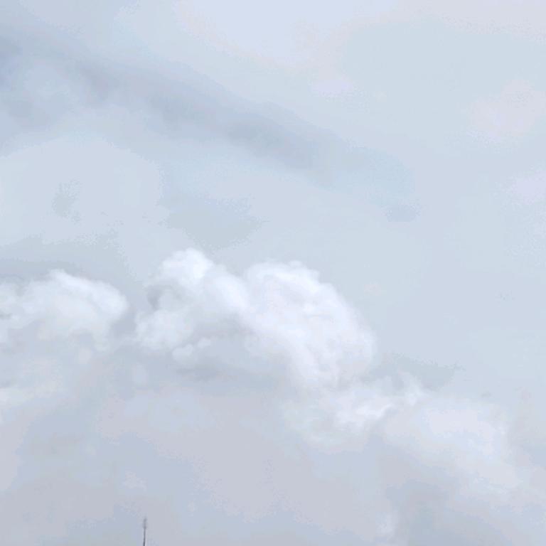 我看了我