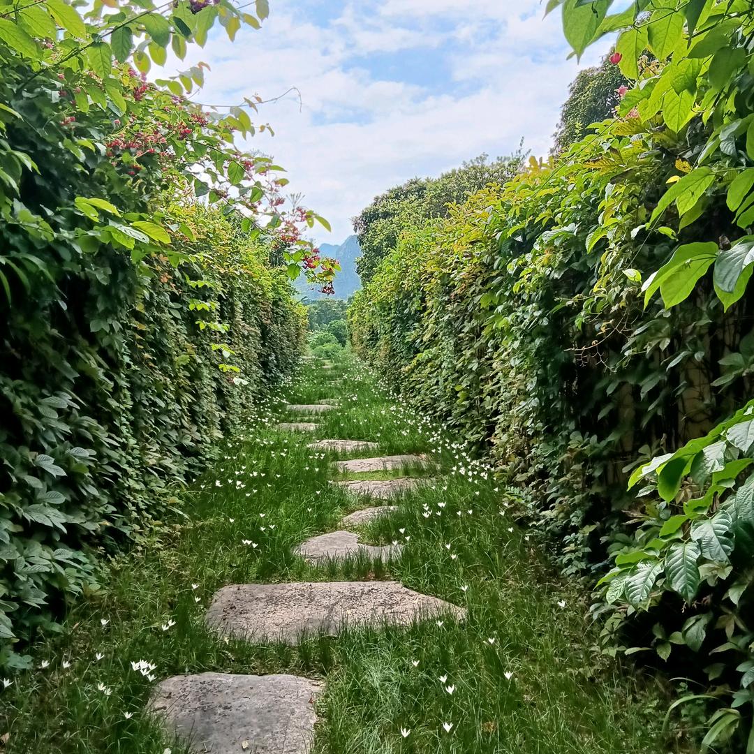 陈战霞