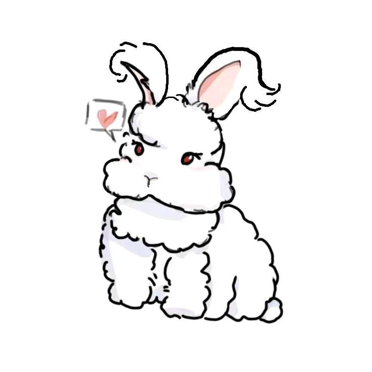 兔小九的安哥拉