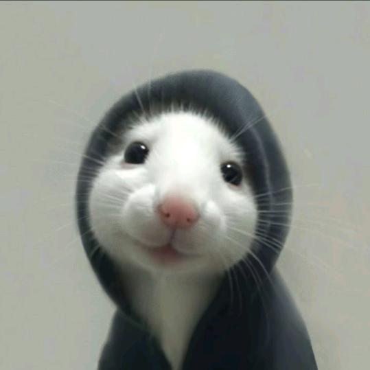 7Kl
