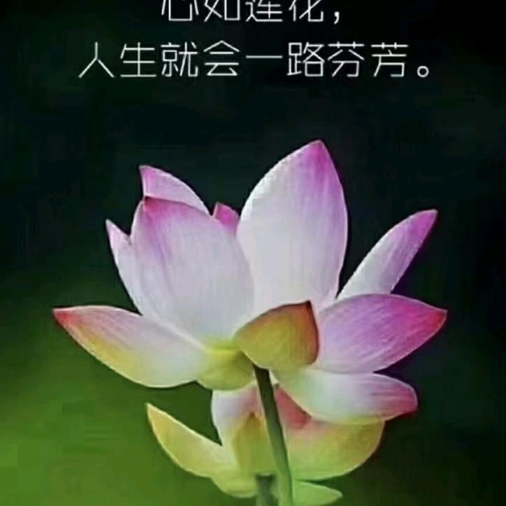 🇨🇳释怀🇨🇳(*^ω^*)