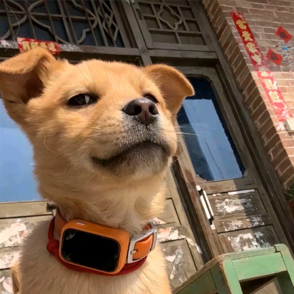 老人孩子先飞