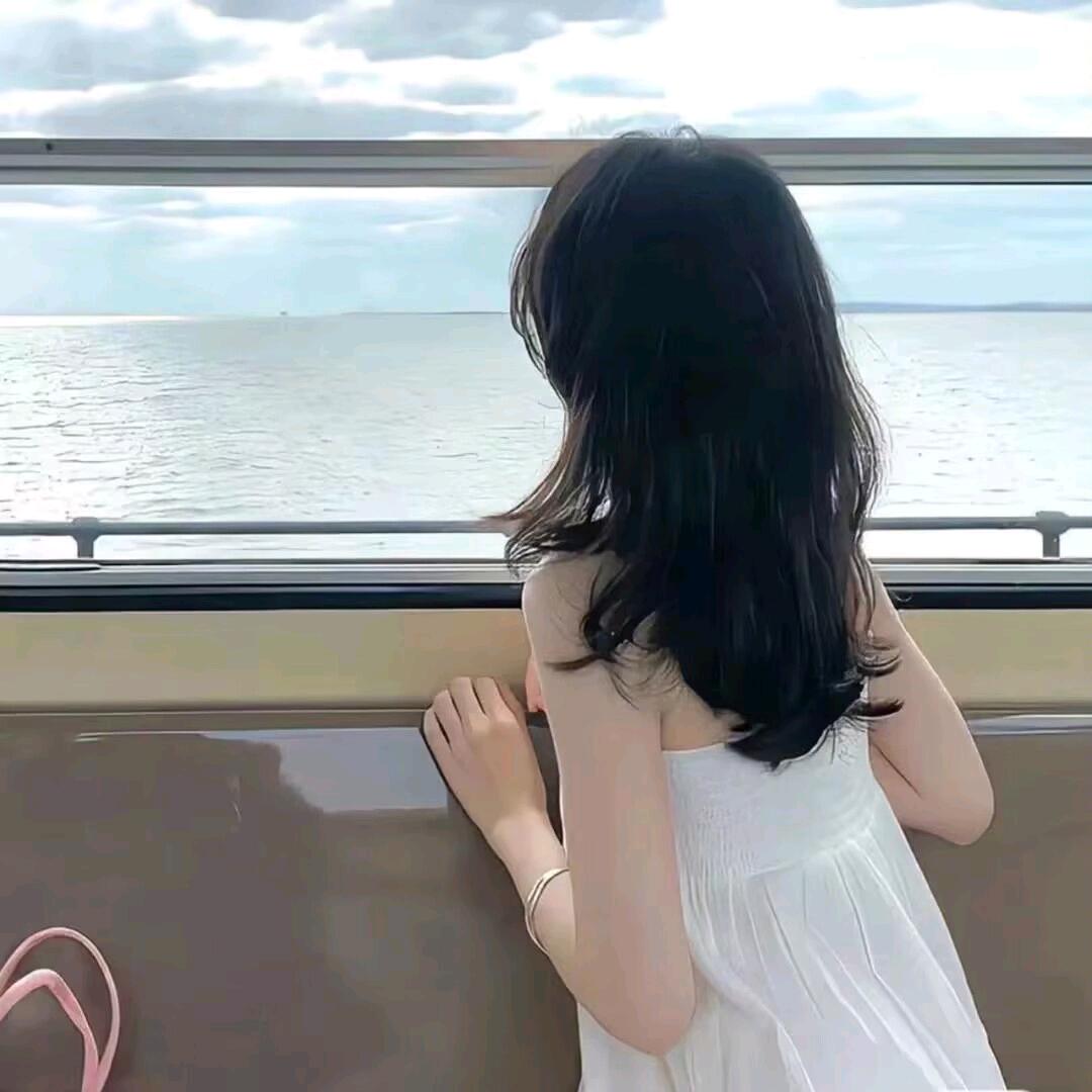 小巷里的猫