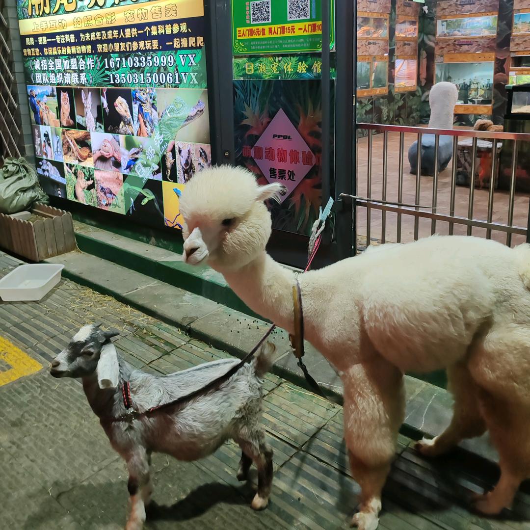 章口旧来