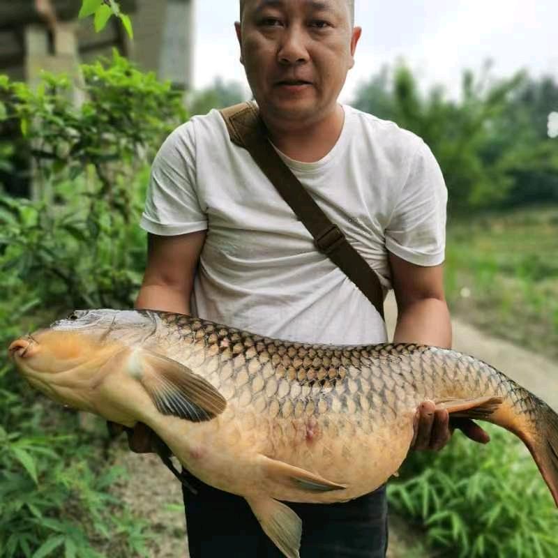彭水卖二手车的奥德标