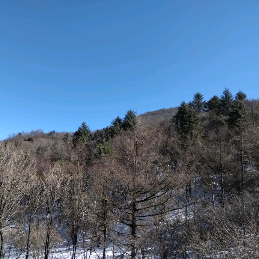 (￣o￣) . z Z累了，困了