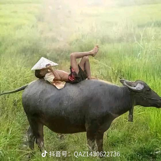 乄霏阳