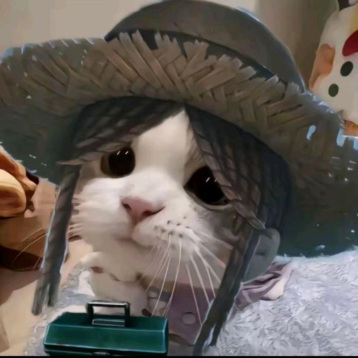 念轩诗'