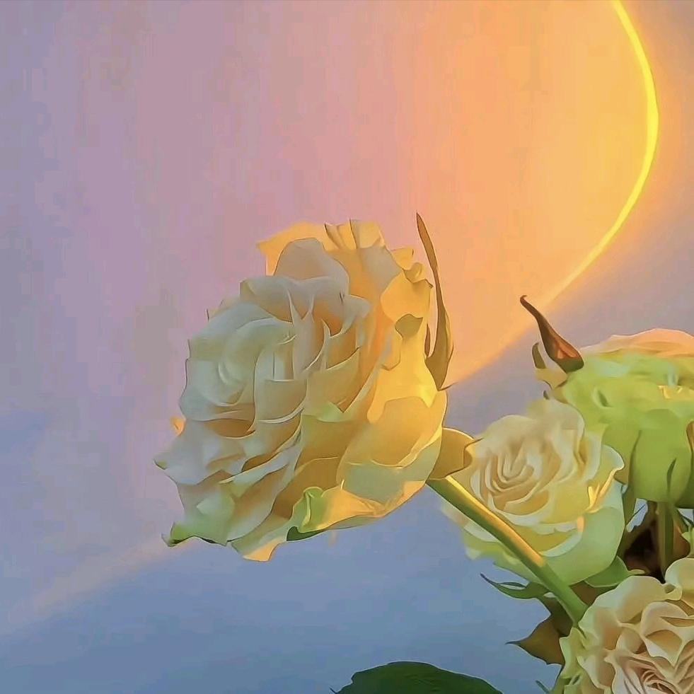🌸花花🌺