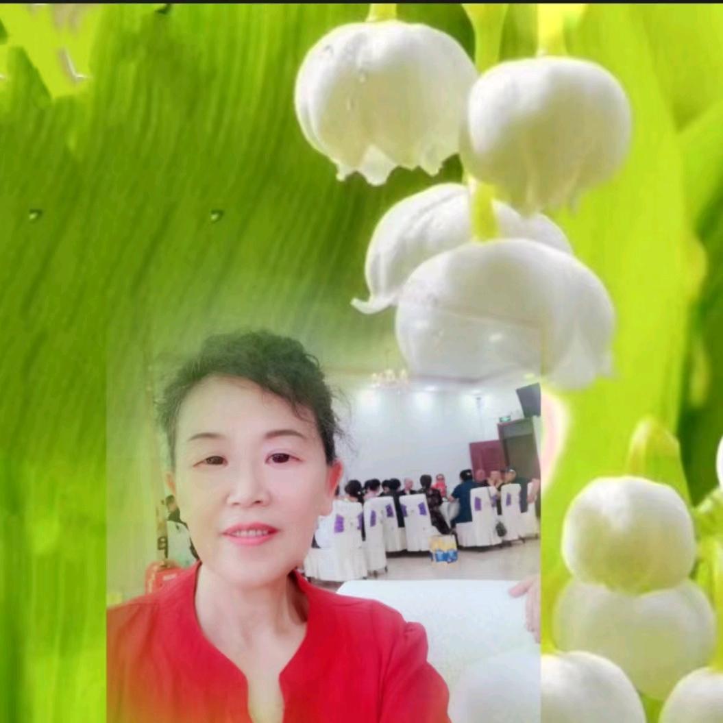 小芝好物