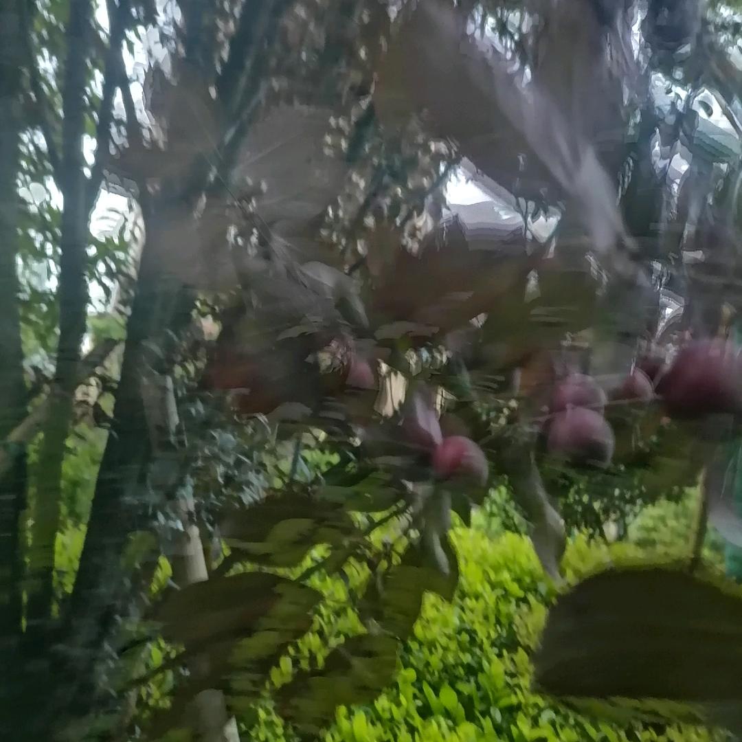 最累的70后找工作