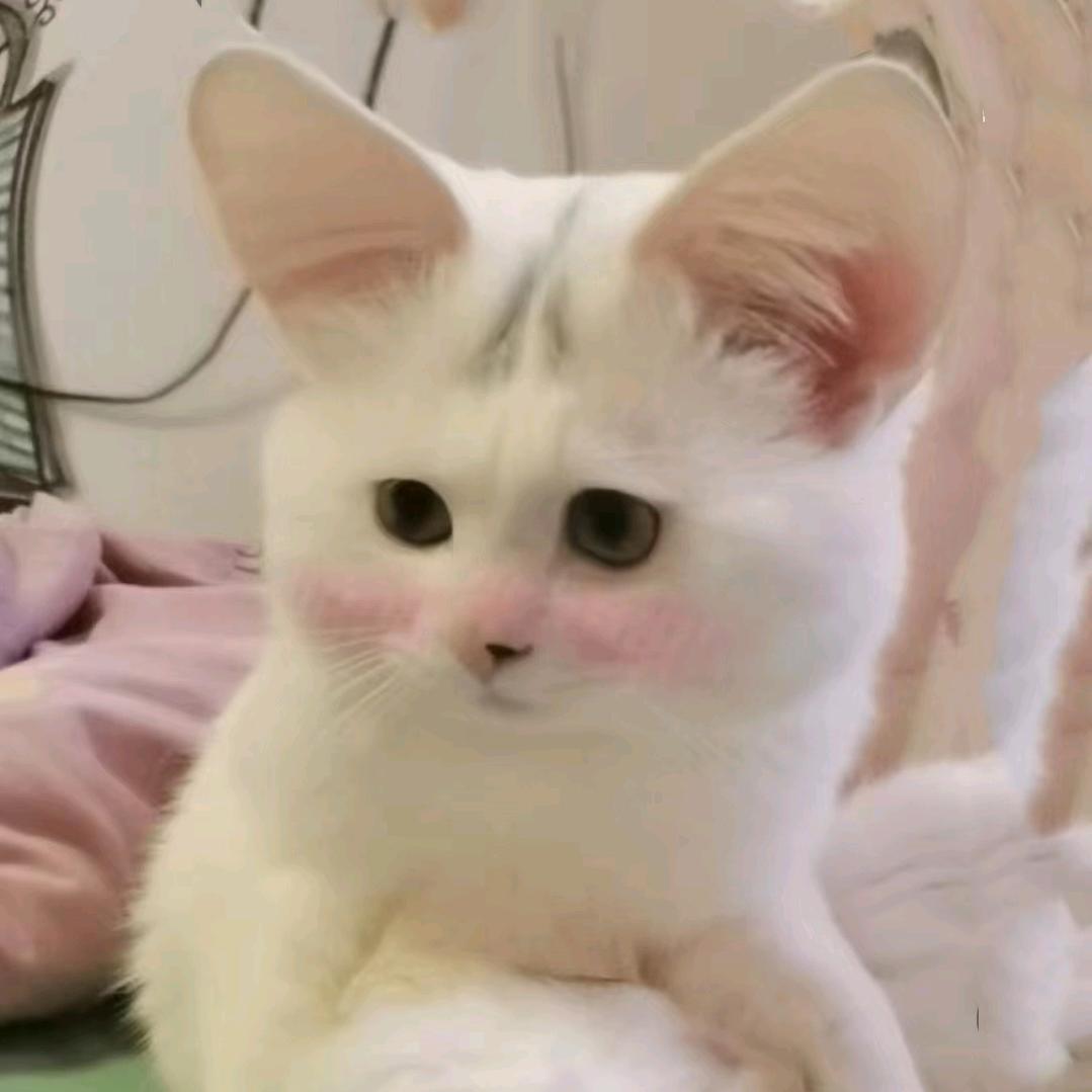 邪恶的大灰狼。