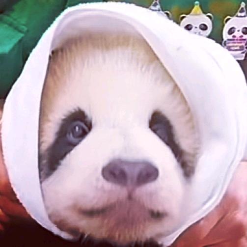 素心如简