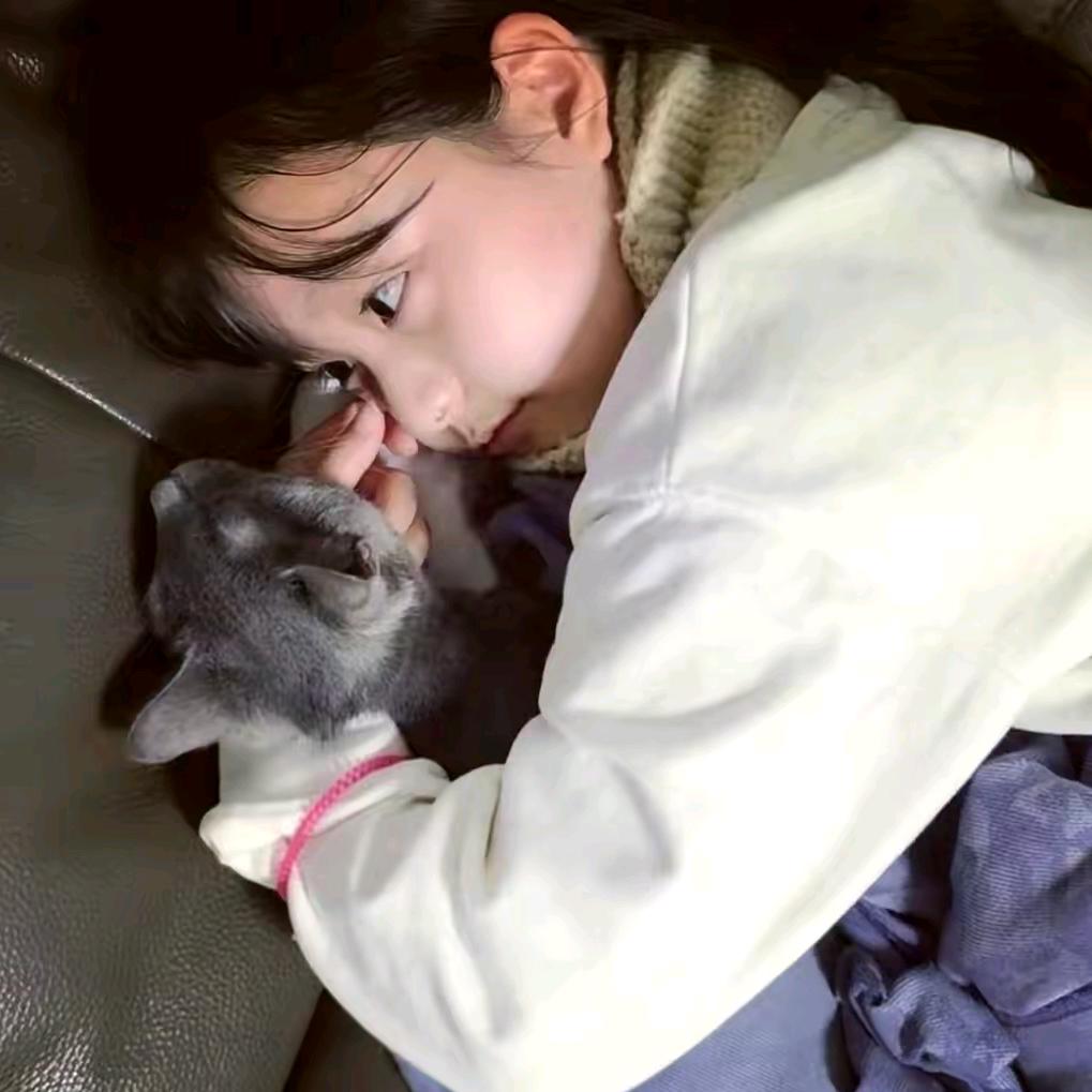 伤心小🐶_
