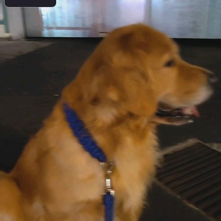 迪迪迪D（奶味腹肌版）的凯哥