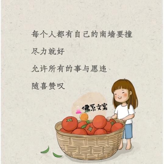 昭昭如愿