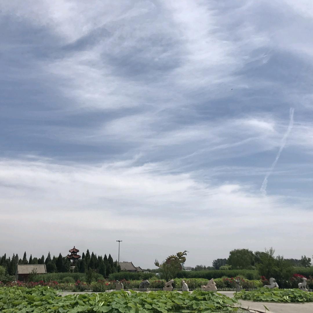 新零售医疗外卖