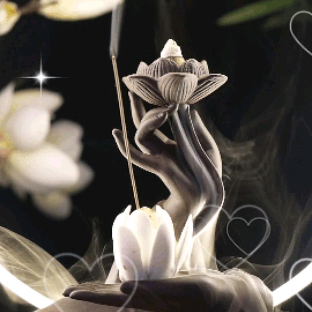 ✨一生❤️无悔✨