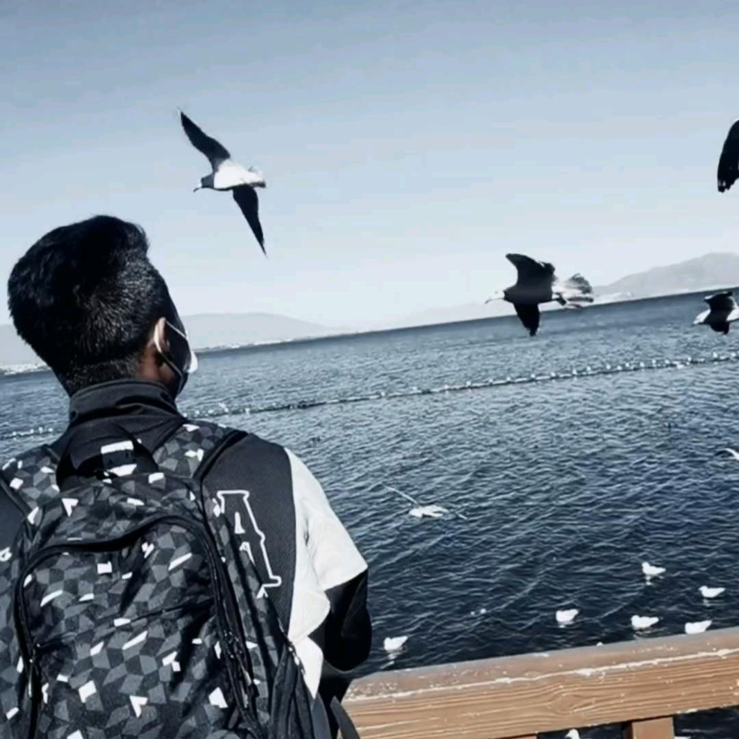 ༒南༻瓜༺ۣۖ周༒ۣ