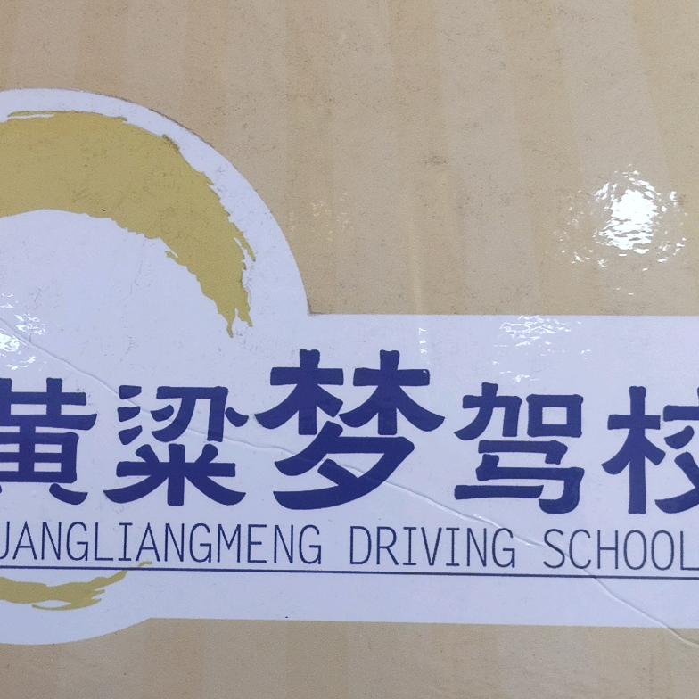 黄粱梦驾校刘教练