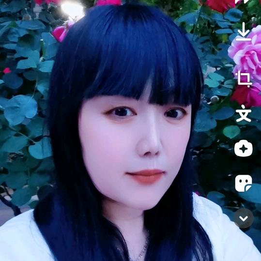 淡雅墨韵