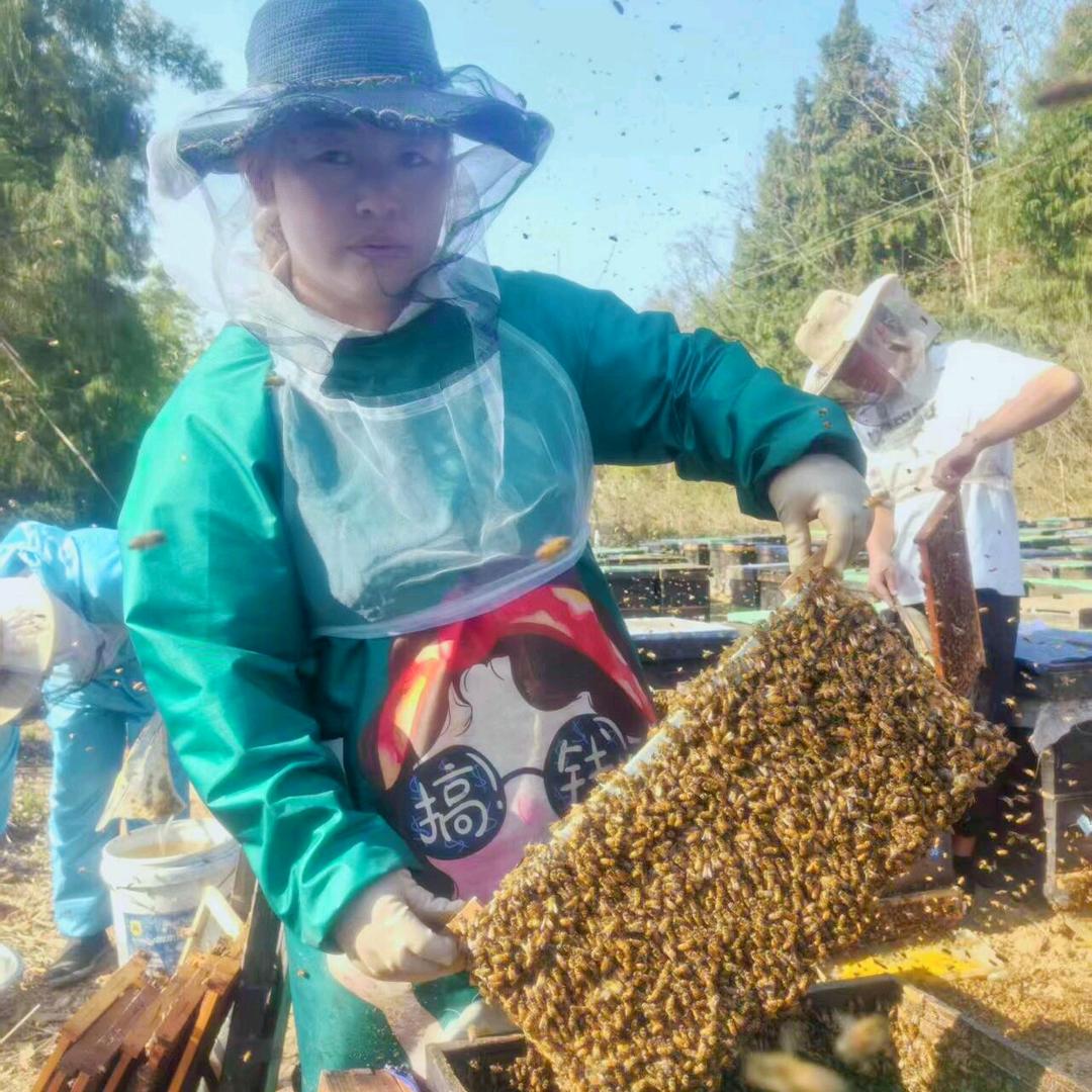 大理养蜂妹陈艳