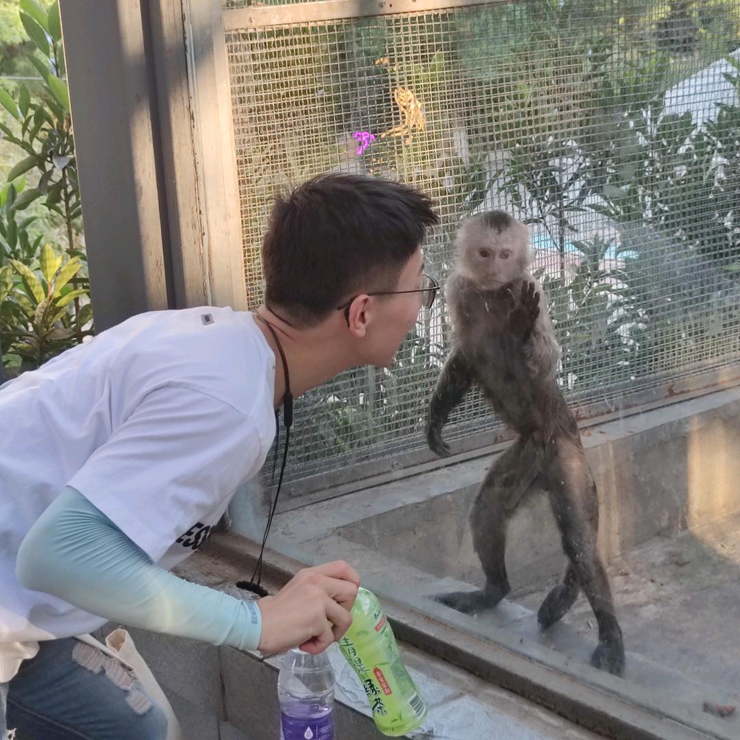 独行也众