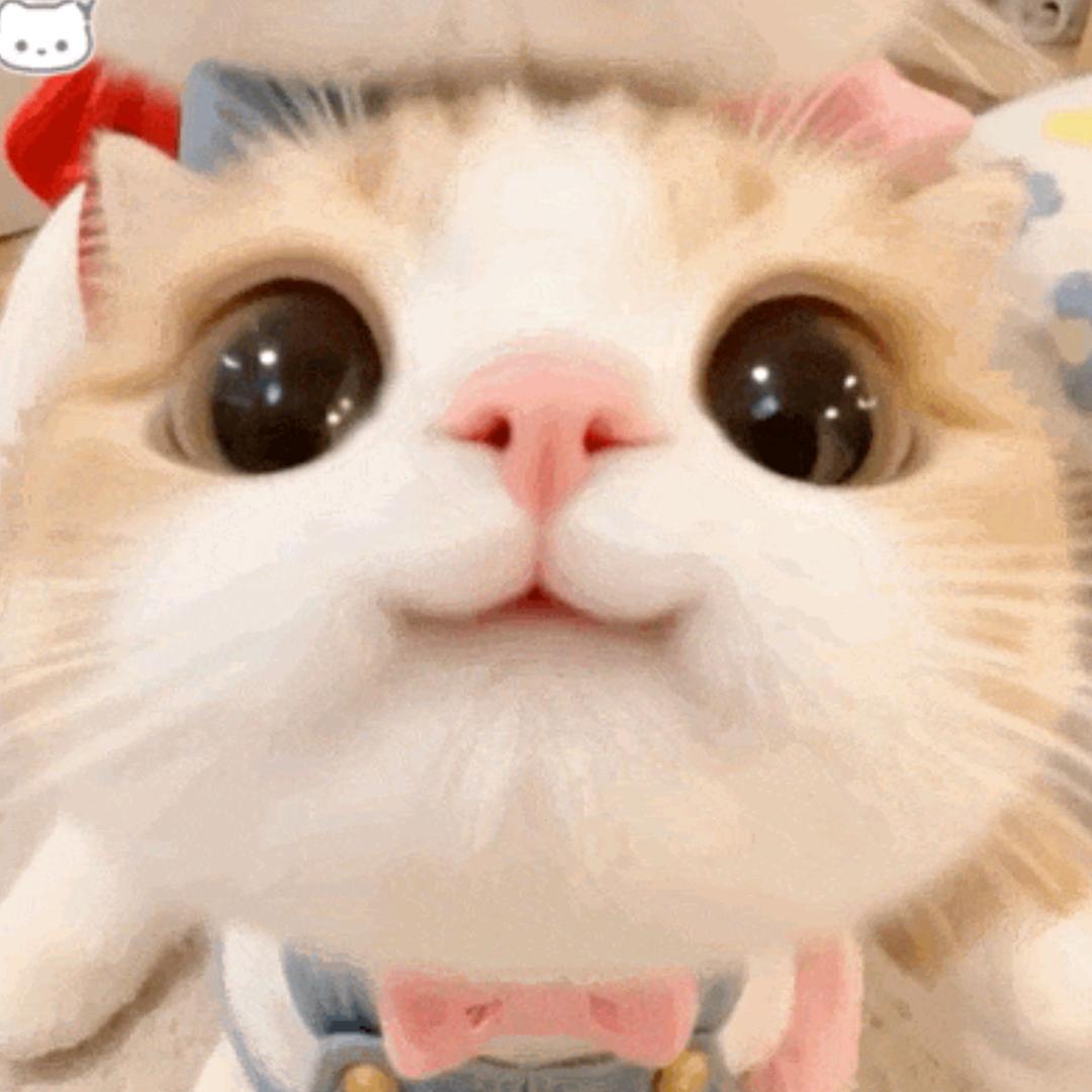 ☪︎