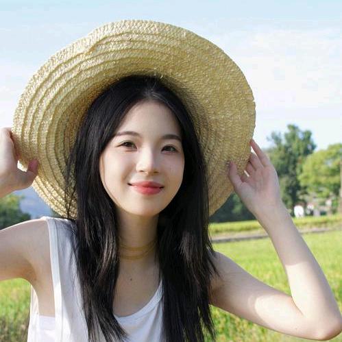 是燕子吖