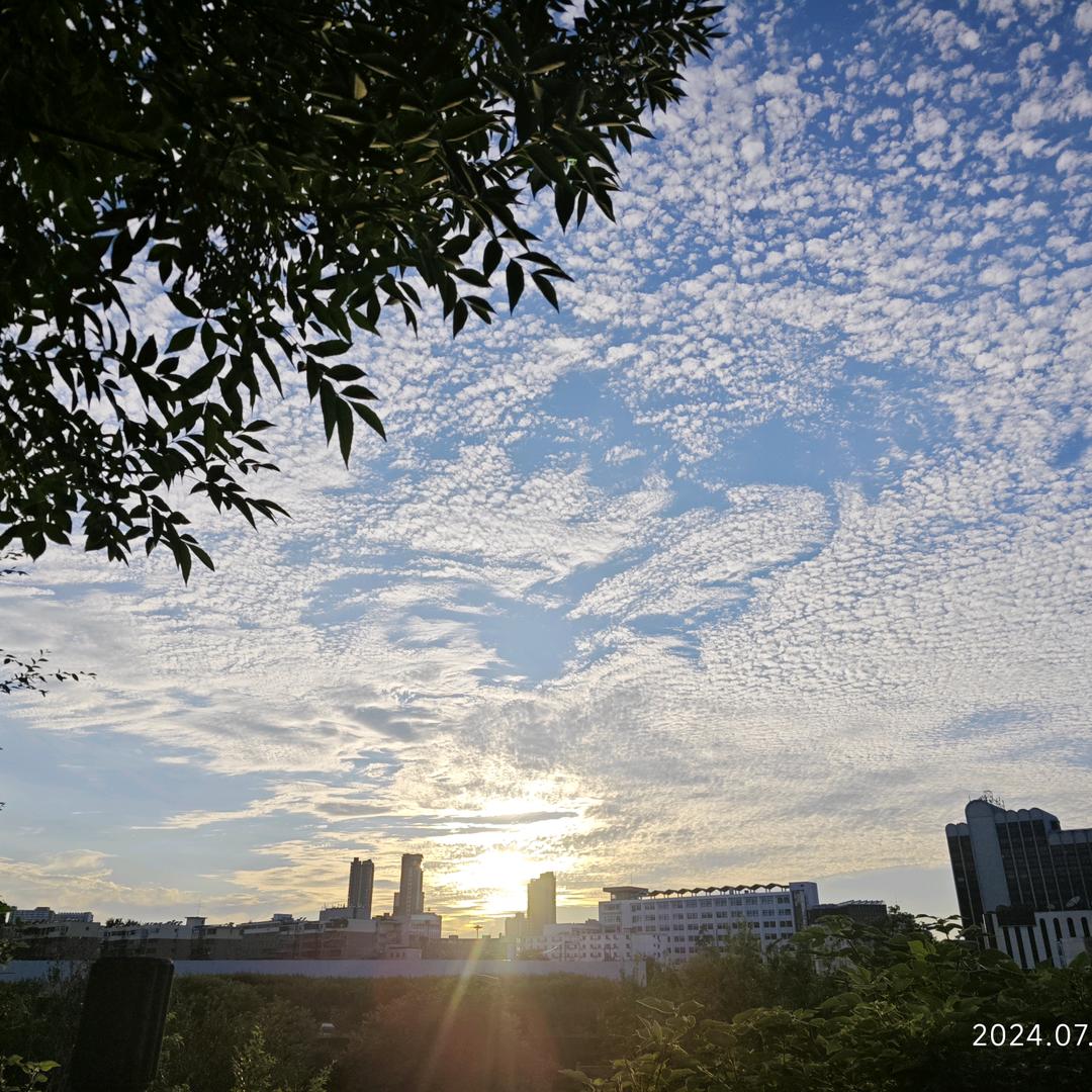素月孤舟