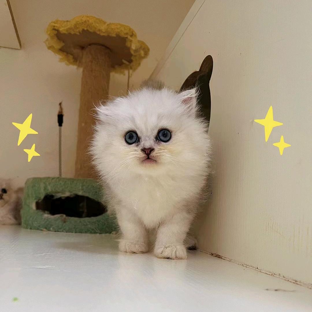 大海哥，，电芯，灯饰，批发，代加工，控制