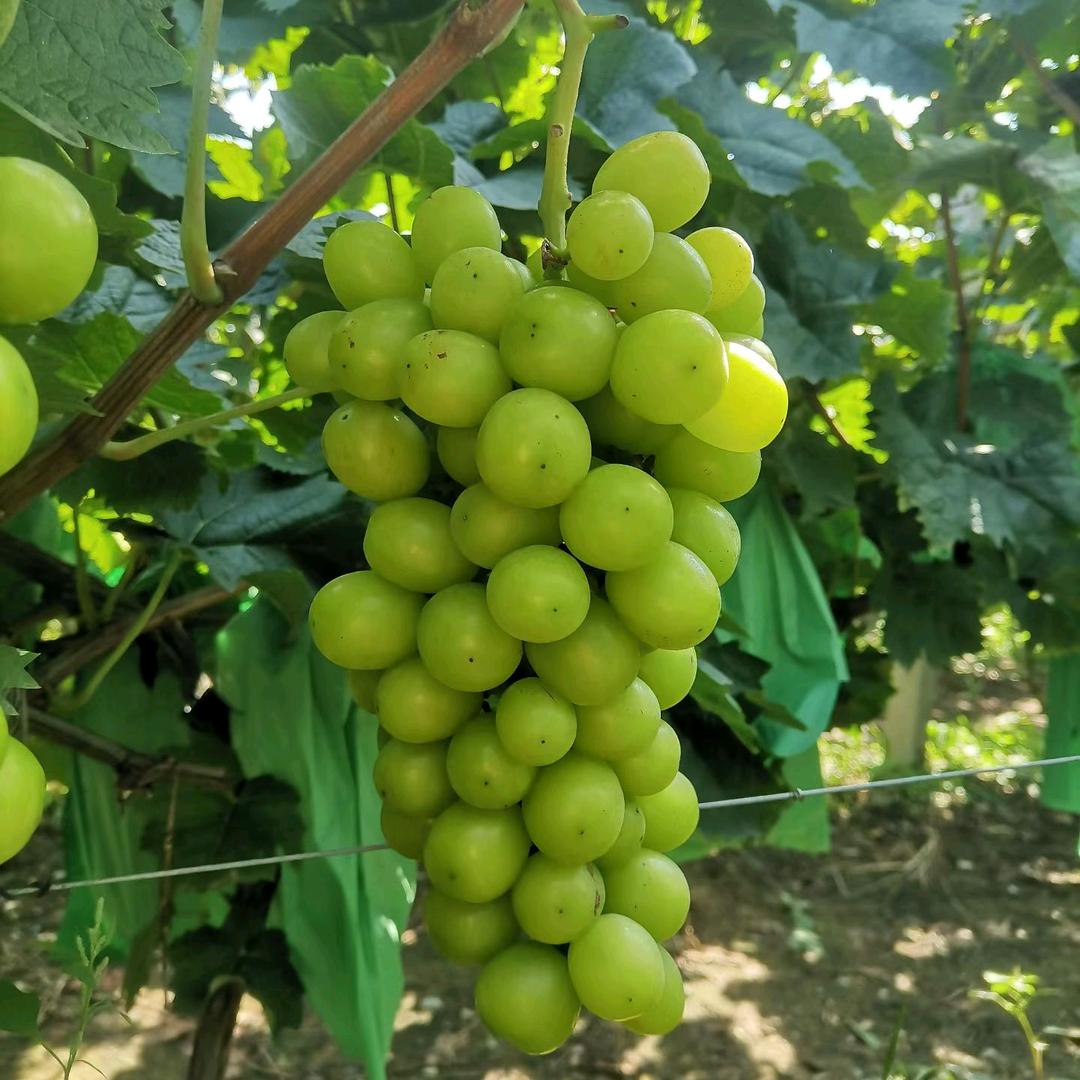 润家百货互联网甄选市集